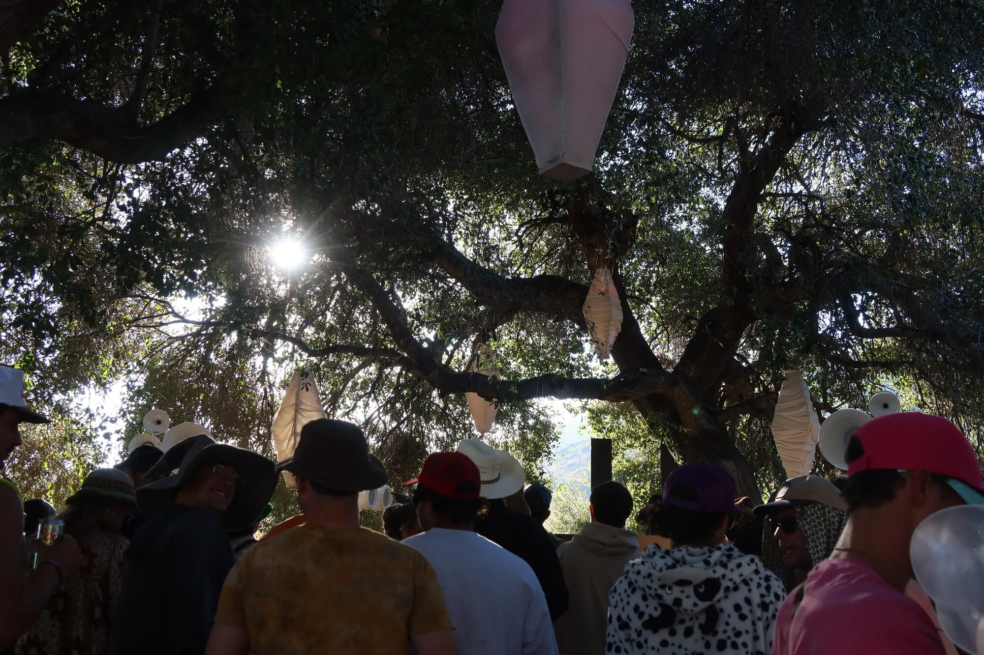 The Woods stage canopy from the dance floor